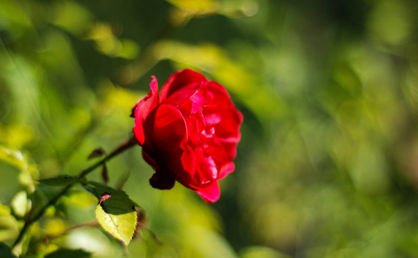 Calendrier – Blog11
